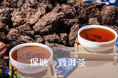 保塘 普洱茶/2023042845031